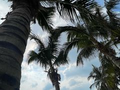 -玫瑰海岸文化旅游度假区