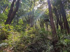 -天鹿湖森林公园