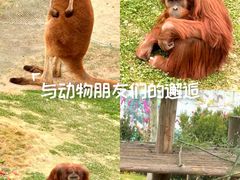 -西霞口神雕山野生动物世界