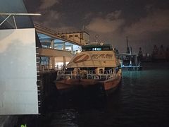 -新码头街九龙城渡轮码头(轮渡站)