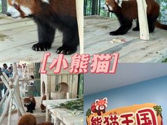 -哈尔滨极地公园