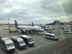 -谢列梅捷沃国际机场
