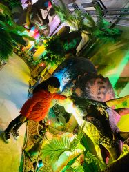 -恐龙探索乐园(磁器口店)