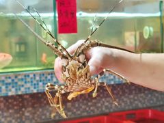 -巽寮印象美食部落餐厅·海鲜·地方特色菜(惠州体验店)