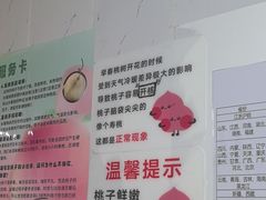 -老袁家蜜桃农场·阳山水蜜桃