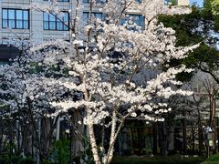 -杭州城中香格里拉大酒店