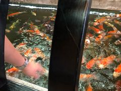 -龙悦湾酒家·八阵鱼生·渔人码头店