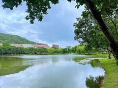 -北京师范大学(珠海校区)
