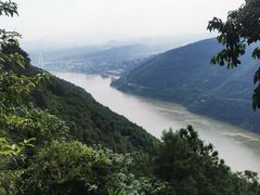 -铁山坪森林公园