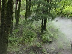 -帽儿山风景区