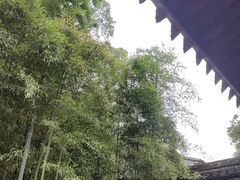 -天一阁博物院