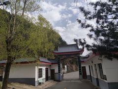 -王顺山国家森林公园