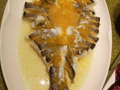 -大鸭梨(天通西苑店)