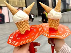 -极拉图·现制冰淇淋(大卫城店)