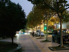 -五里湖湿地公园