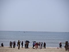 -阿弟特色海鲜餐厅·大排档(平潭店)