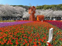 -苏州上方山国家森林公园