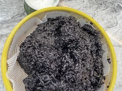 -紫藤园·天目湖大鱼头(南山竹海店)