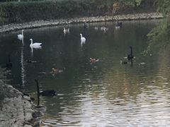 -长白岛森林公园