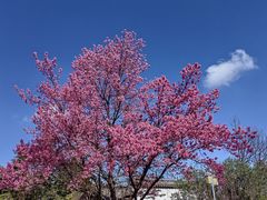 -天龙八部武侠城