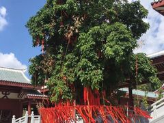 -莆田南少林寺