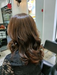 -风向标WIND VANE SALON