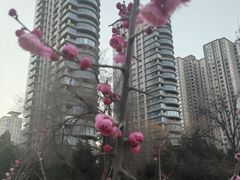 -渭滨公园