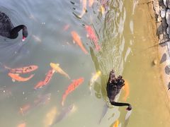 -芭东小镇温泉