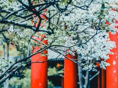 -碑林公园