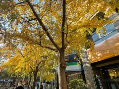 -丽晶大班SPA(大沽店)