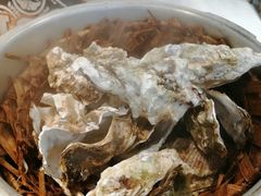 高压锅生蚝-臻炙大舍烤串(天龙家园店)
