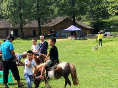 -武陵山森林公园