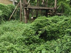 -成都动物园