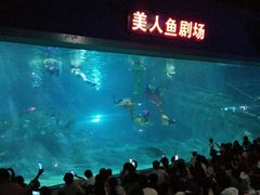 -福州罗源湾海洋世界旅游区