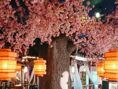 -荷塘秋月·本帮江浙菜(国权路店)