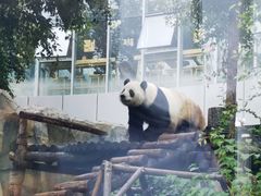 -青藏高原野生动物园