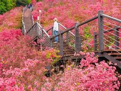 -瑞安圣井山景区