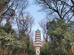 -灵谷景区