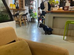-唐咖精品咖啡(大理古城手冲店)