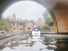 -美的鹭湖森林度假区