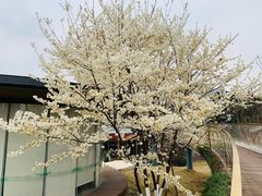 -桂溪生态公园