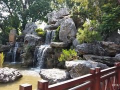 -东莞植物园