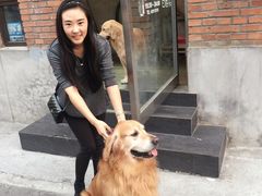 -百好乐宠物友好餐厅(朝外大街店)