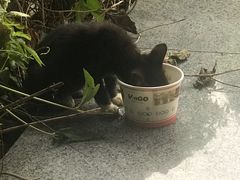 -坂田(地铁站)