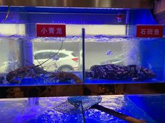 -小龍鳳·港式海鲜打边炉(沙湖路店)