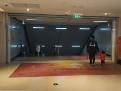 -SFC上影百联影城(川沙IMAX店)
