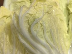 -老诚一锅羊蝎子(天通苑东三区直营店)