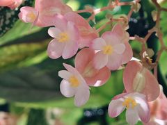 -友谊阳光城