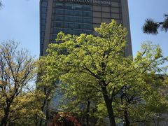 -青岛海尔洲际酒店