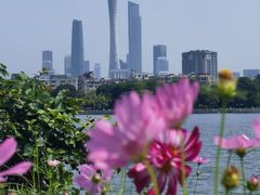 -海珠湖公园